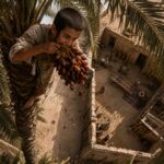 Rebbe's Gemara Stories